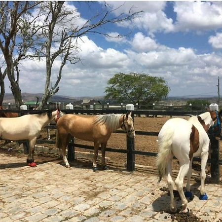 Apart Hotel Fazenda Monte Castelo - Gravata 外观 照片