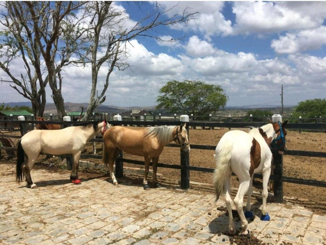 Apart Hotel Fazenda Monte Castelo - Gravata 外观 照片
